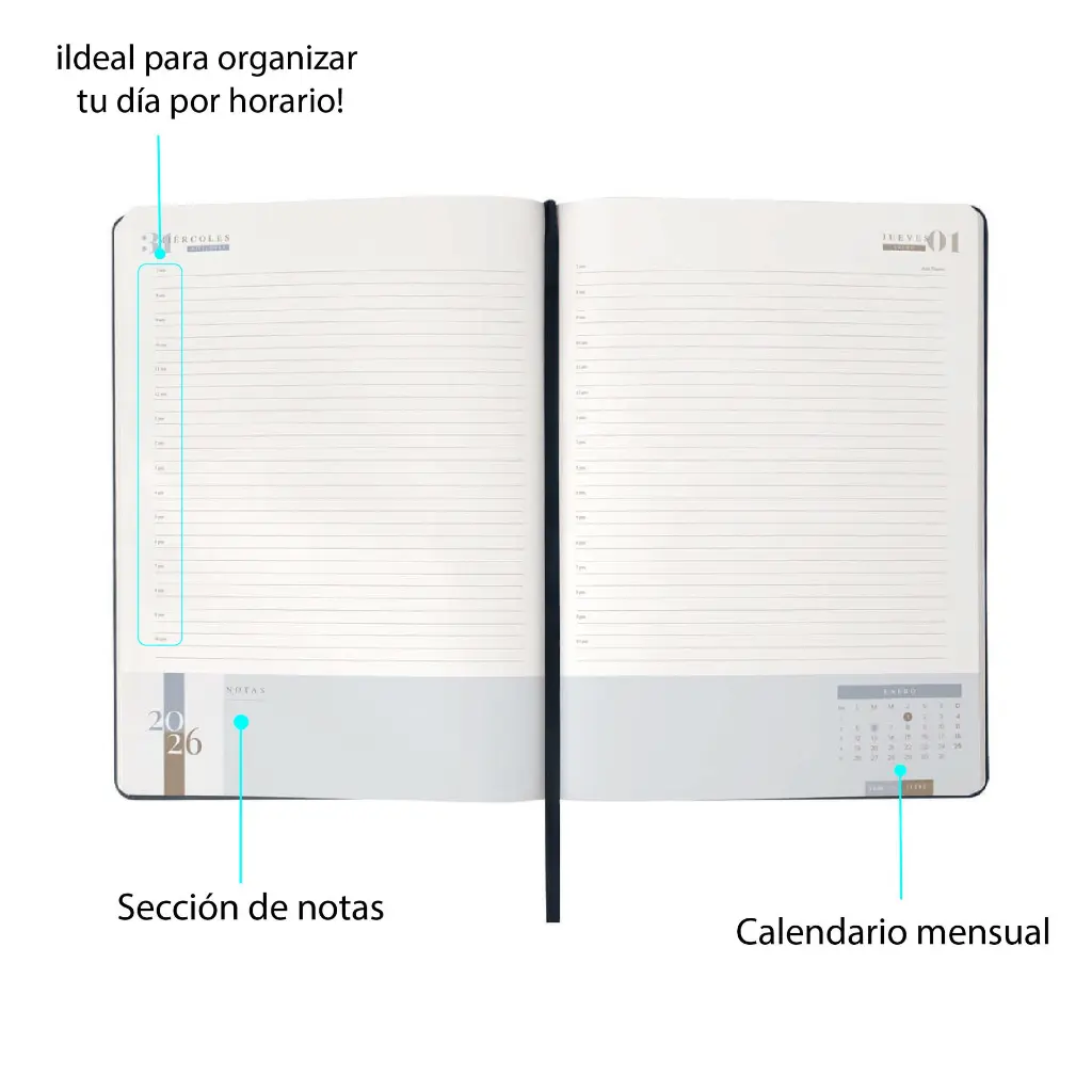 AGDU CONTENIDO INTERNO.webp