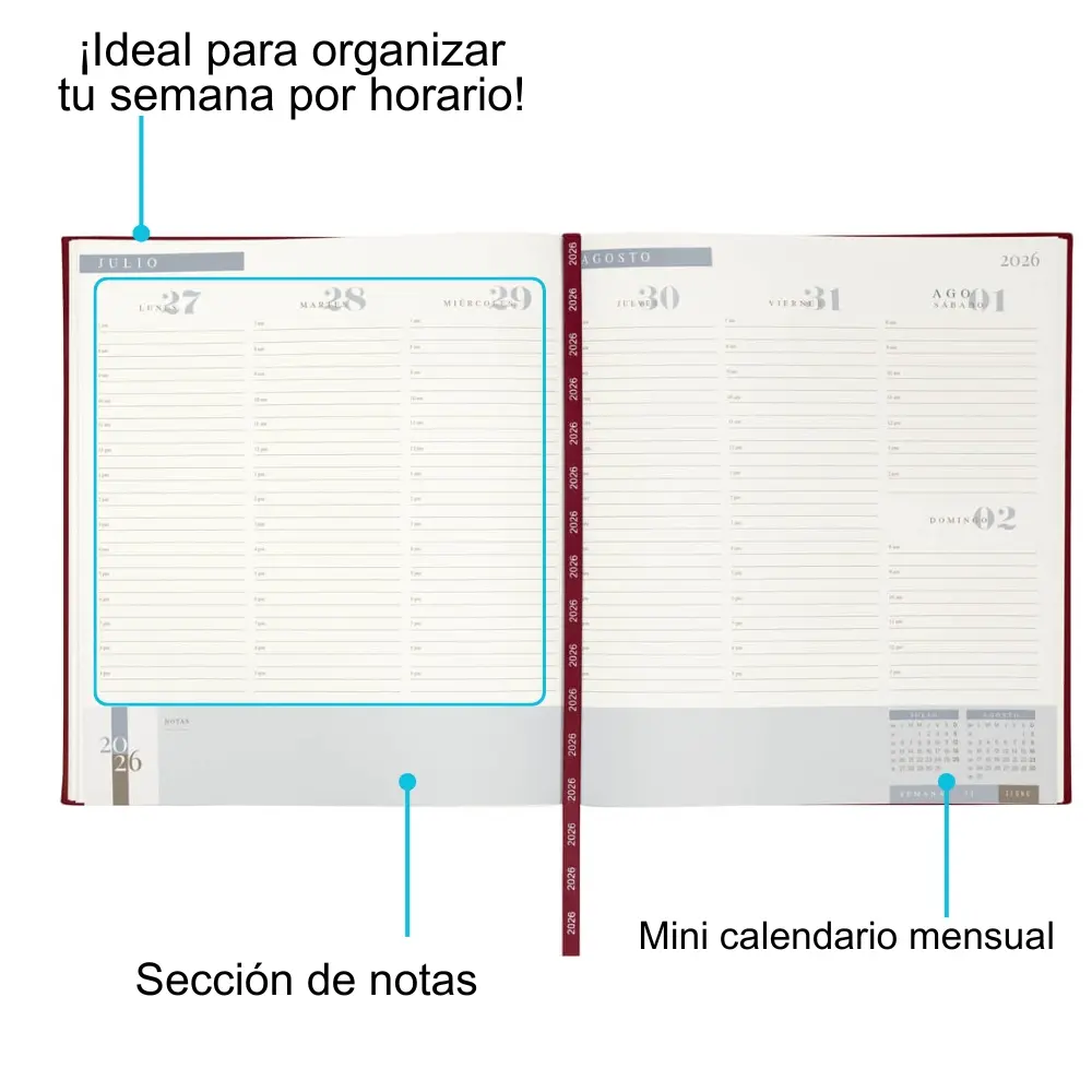 PAGINA INTERNA 2.webp