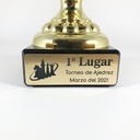 Placa para Trofeo 24cm2 Show