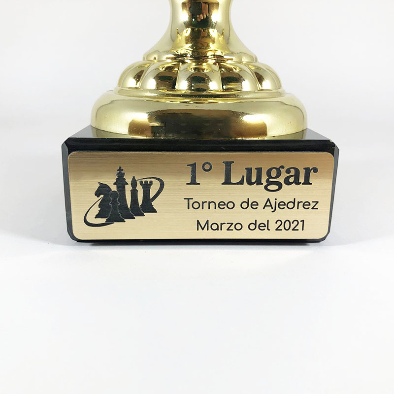 Placa para Trofeo 72cm2 Show