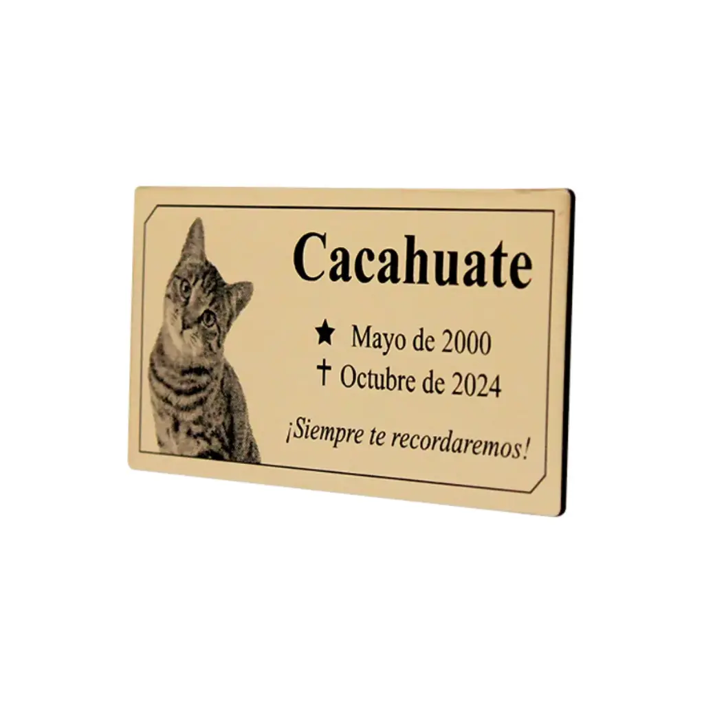 Placa Funeraria Para Mascota Con Foto 16x8 Cm