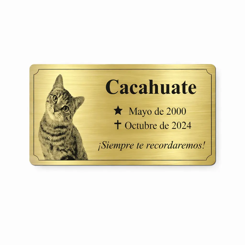 Placa Funeraria Para Mascota Con Foto 20X10 Cm