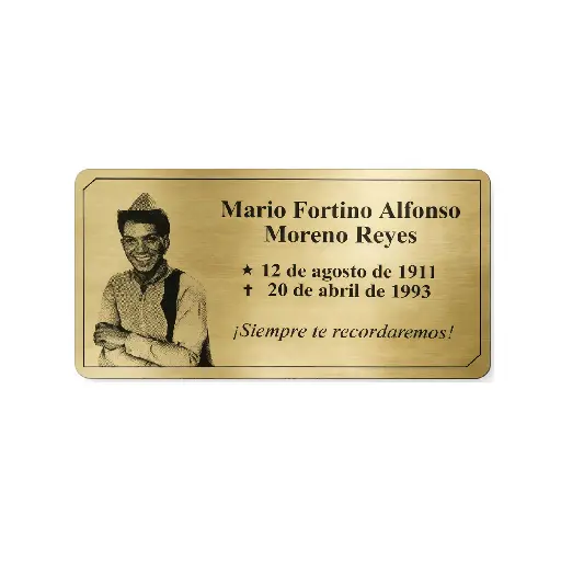 Placa Funeraria 30x15cm Con Foto