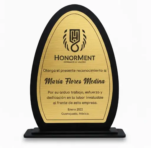 Reconocimiento De Escritorio En Acrílico Ovalado