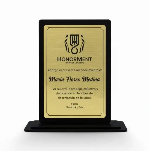 Reconocimiento De Escritorio En Acrílico Rectangular